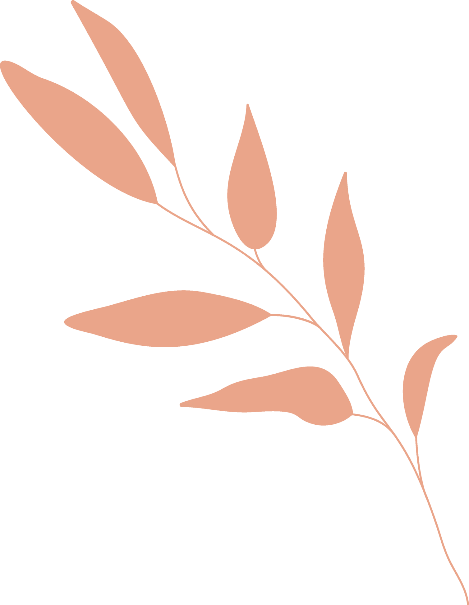 leaf